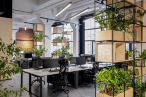 A modern office with black furniture and an abundance of plants
