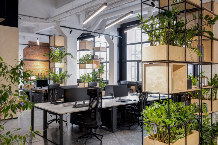 A modern office with black furniture and an abundance of plants